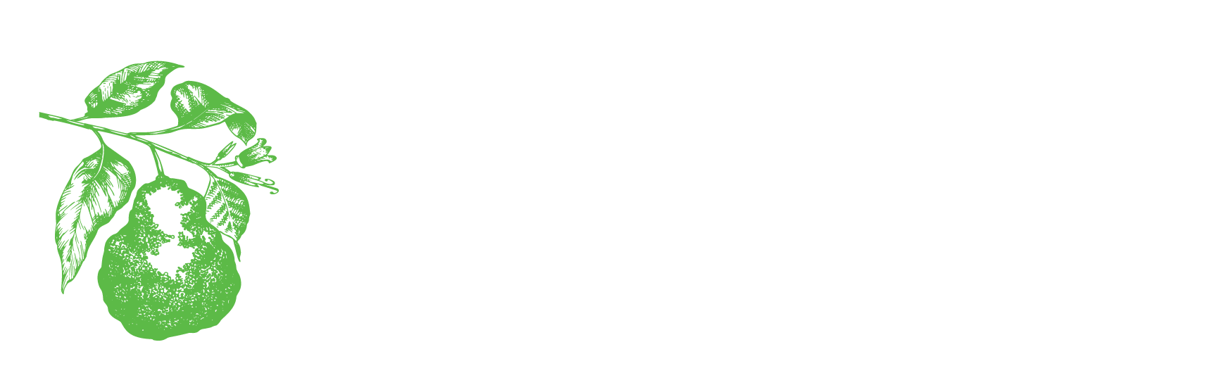 Bergamot Travel